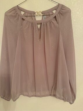 Jennifer Lopez Sparkle Sheer Blouse - Mauve